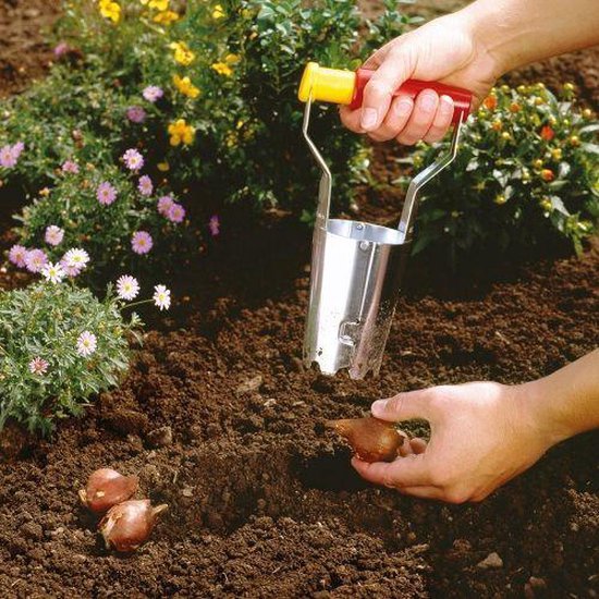 Hoe gebruik je een bollenplanter Hoe gebruik je een bollenplanter