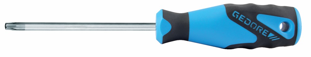 Gedorde 3-C Torx T10