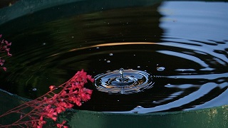 Regenwater opvangen is dit voor iedereen mogelijk